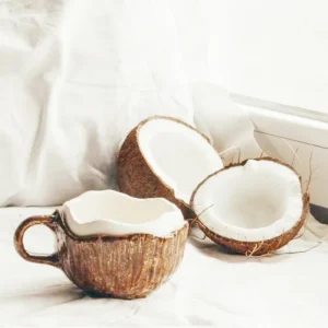 Coconut Shell Ceramic Mug 1