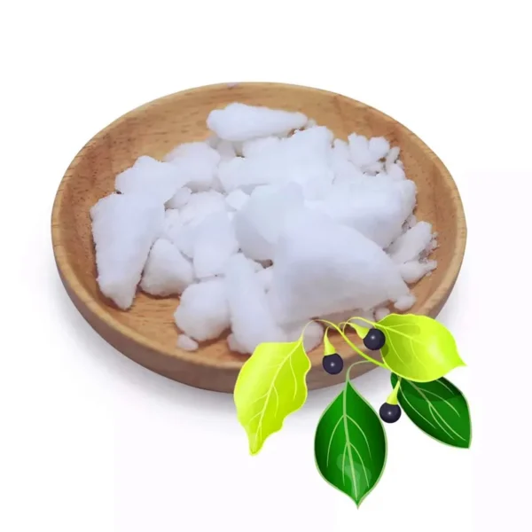 Natural Camphor Powder 2