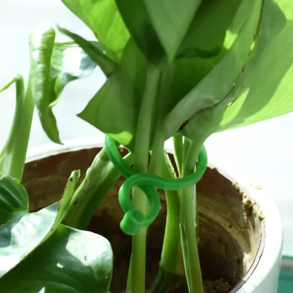Garden Plant Tying Clips (50Pcs) 6
