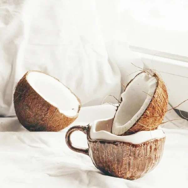 Coconut Shell Ceramic Mug 2