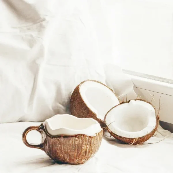 Coconut Shell Ceramic Mug 3